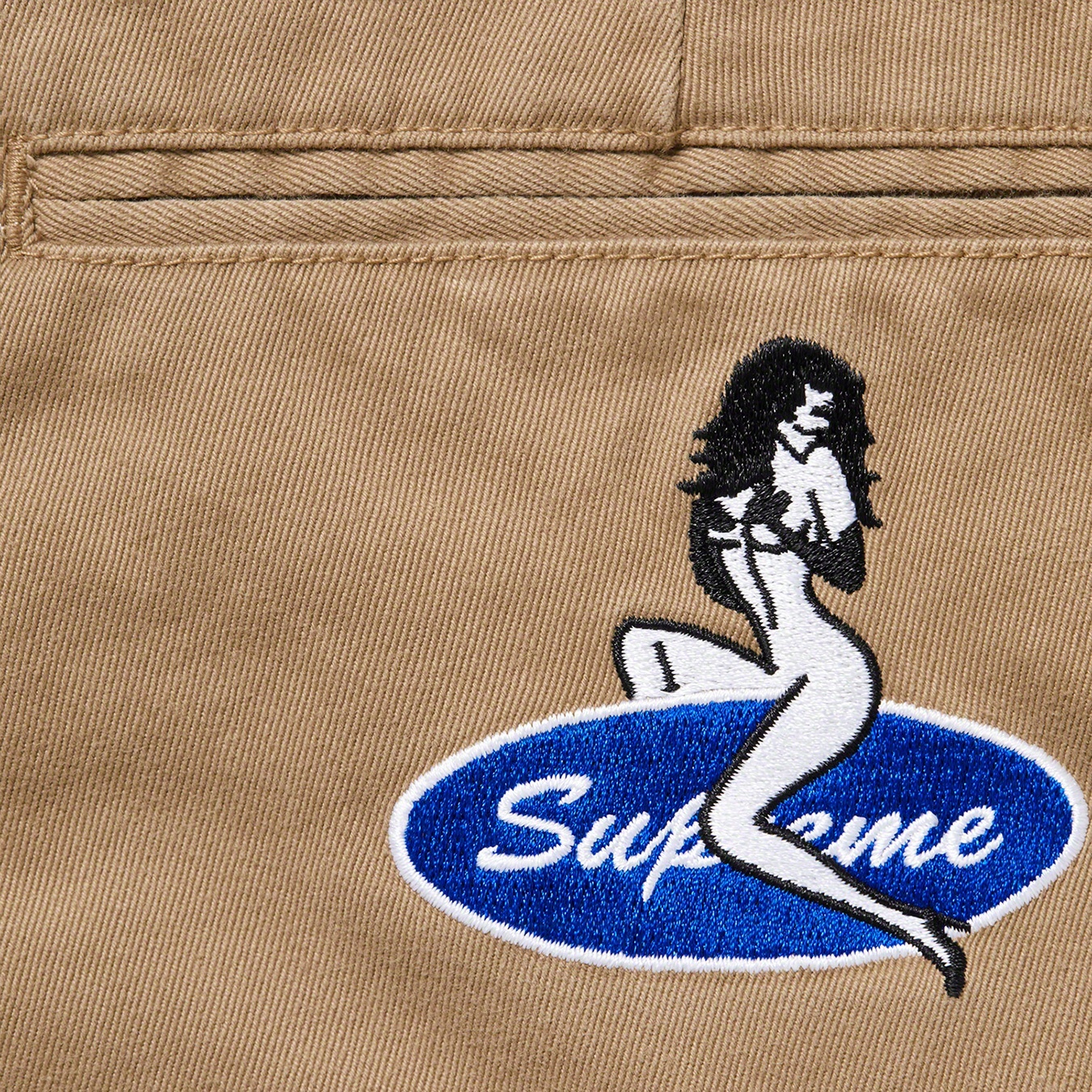 Pin Up Chino Pant view 9